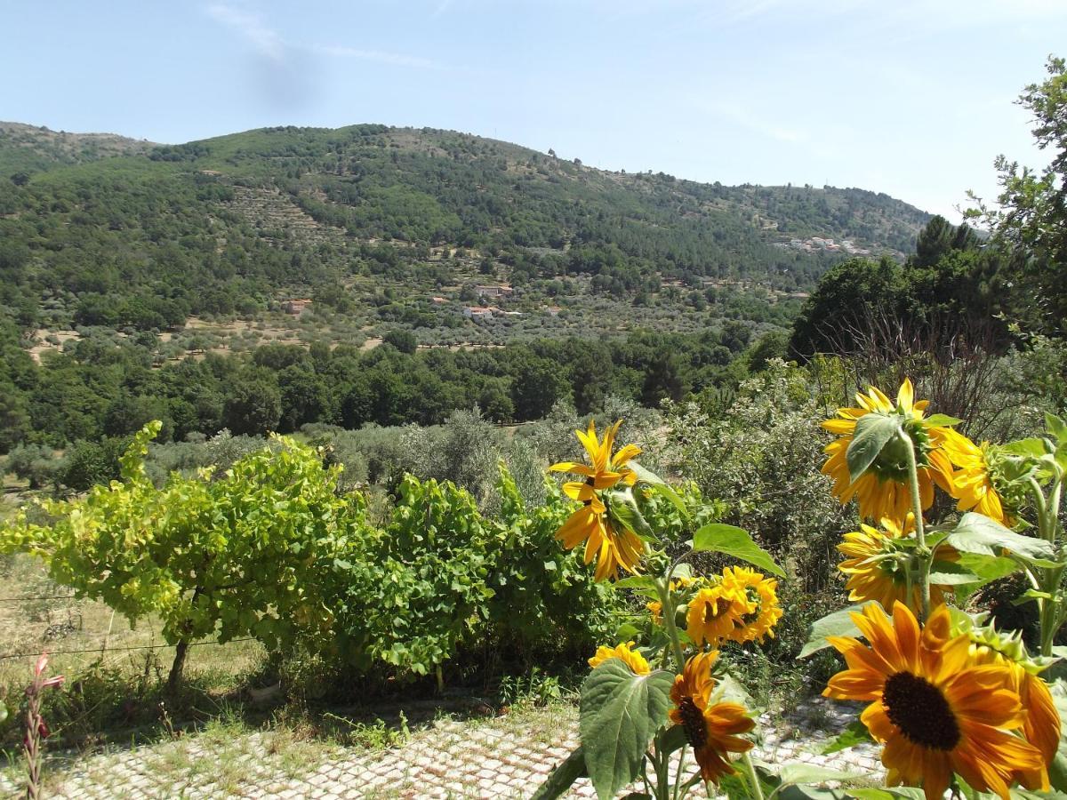 Quinta Do Pina Lägenhet Guarda Exteriör bild