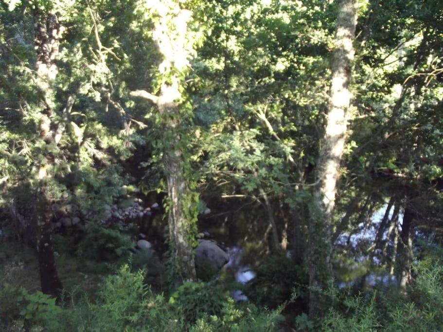 Quinta Do Pina Lägenhet Guarda Exteriör bild