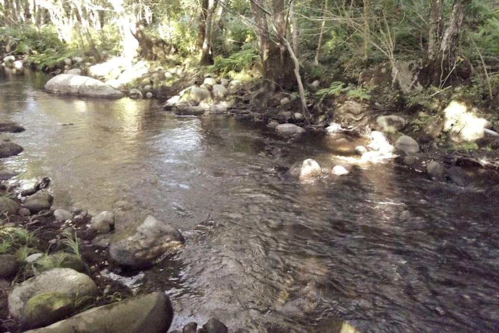 Quinta Do Pina Lägenhet Guarda Exteriör bild