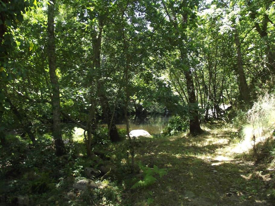 Quinta Do Pina Lägenhet Guarda Exteriör bild