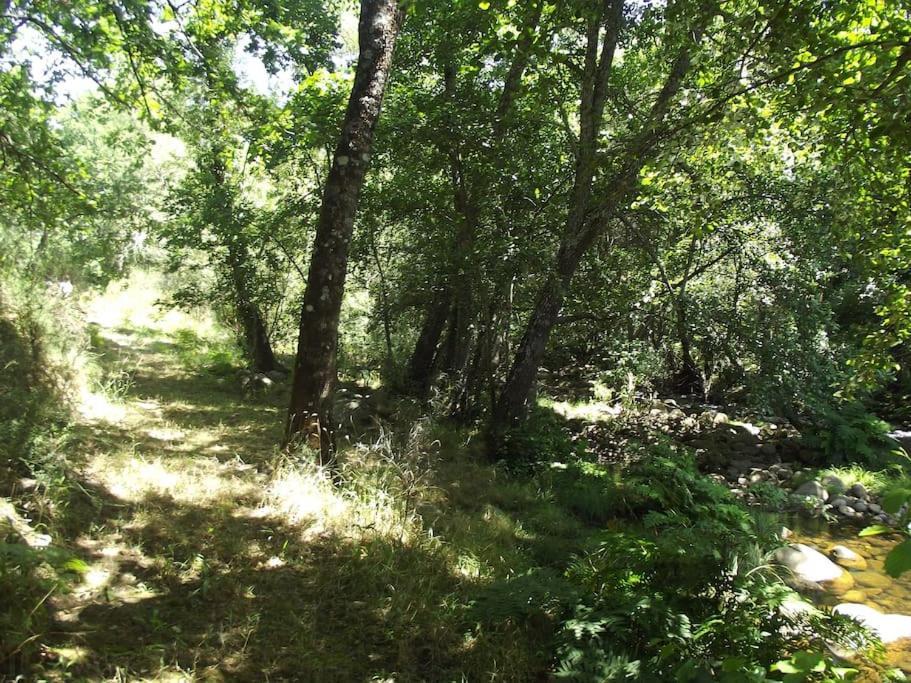 Quinta Do Pina Lägenhet Guarda Exteriör bild