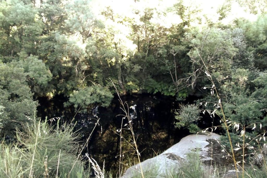 Quinta Do Pina Lägenhet Guarda Exteriör bild