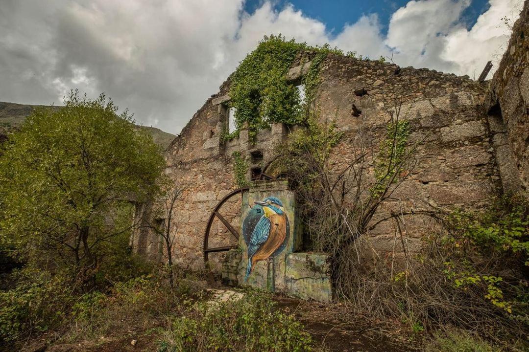 Quinta Do Pina Lägenhet Guarda Exteriör bild